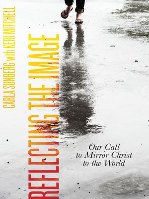 cover image of Reflecting the Image